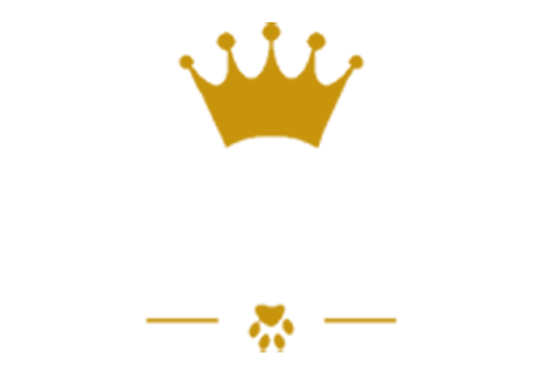 King Pet