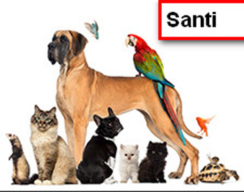 Pet shop Santi